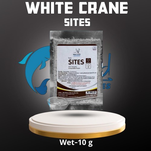 Sites 10g