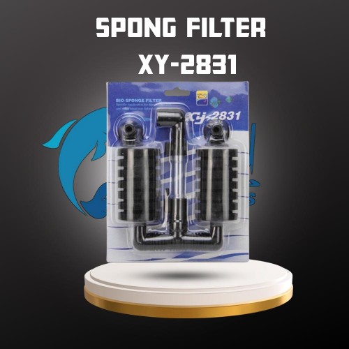 XY-2831