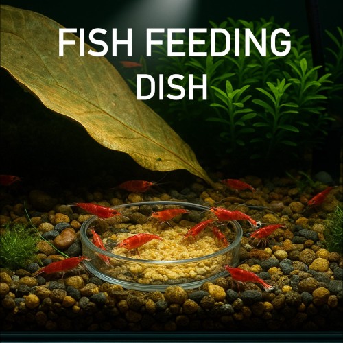 Shrimp Feeding Dish