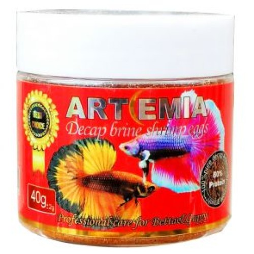 SISO-Artimea-20g