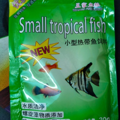 Small Tropical Fish-20g