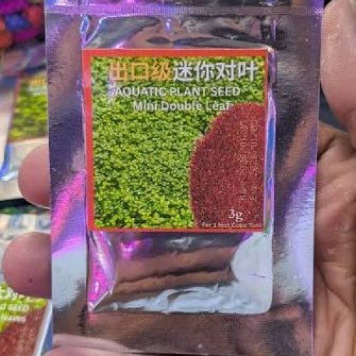 Seeds Mini Double Leaf-3g