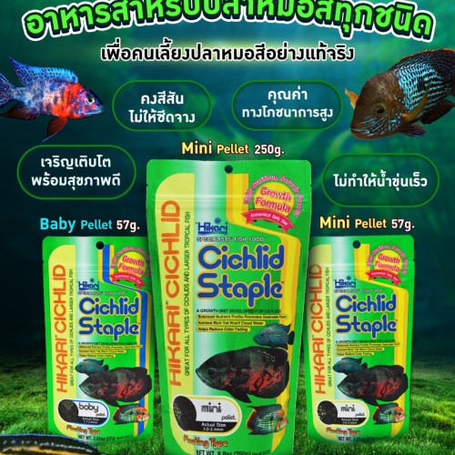 Hikari Cichlid Staple-250g