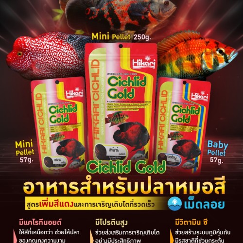 Hikari Cichlid Gold-250g