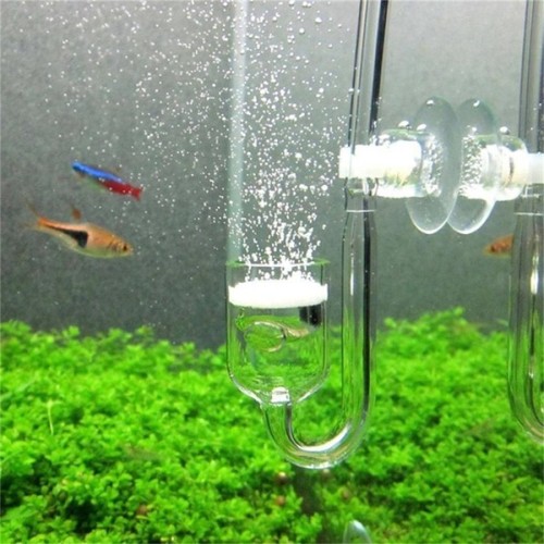 Co2 Diffuser-Glass Type