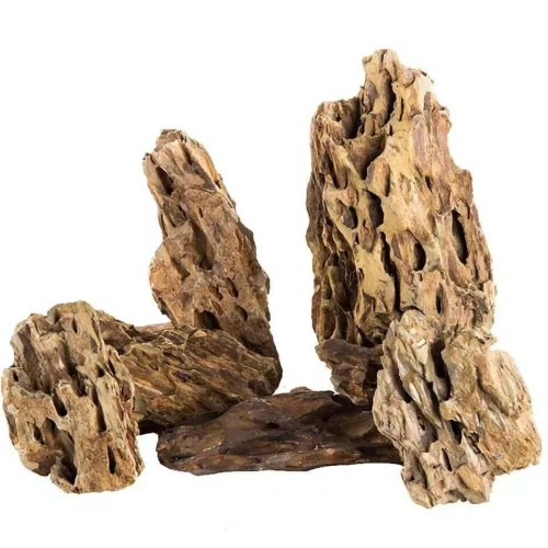 Dragon Rock-Premium Washed
