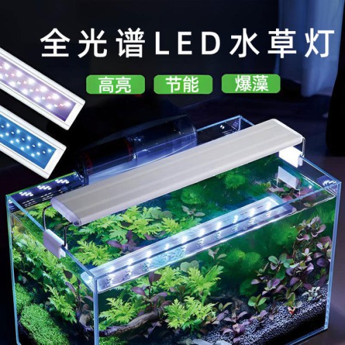 LED Light YC-SZ-40
