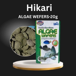Hikari Algae Wafers-20g