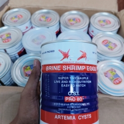 Brine Shrimp Eggs-O.S.I