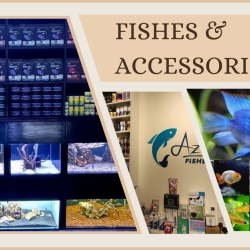 Nitrifying Bacteria Tablets