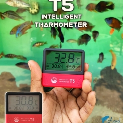 T5 Recording Thermometer