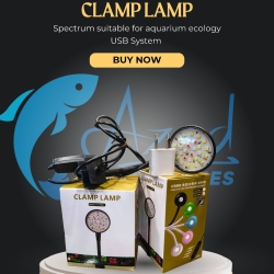 Clip Light -7w ( P002)