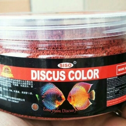 Siso-Discus Color-172g