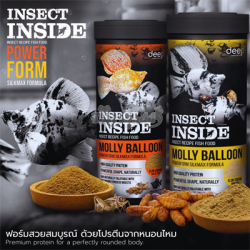 Insect Recipe Fish Food -Molly Ballon -100g