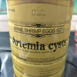 Brine Shrimp Egg-Artemia Cysts