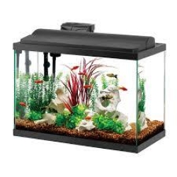 Custom Tank