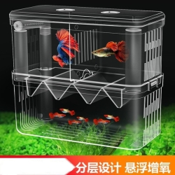 Breeding Box-Three Room