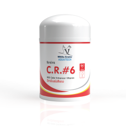 CR-6