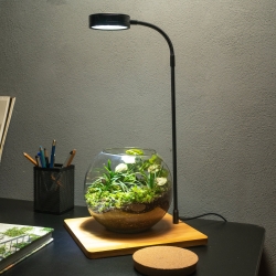 Terrarium Light-Big