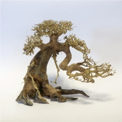 Bonsai Tree (Wood)