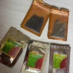 Mini Seeds Aquarium