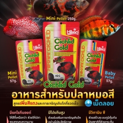 Hikari Cichlid Gold-250g