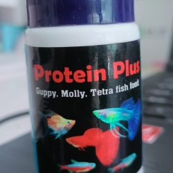 Protein Plus-Small Fish Food