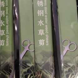Scissors -Black Color