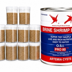 O.S.I (Red Jungle)-Brine shrimp repack-25g