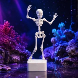 Skeleton (Kongkal)-Toy