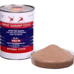 Brine Shrimp Eggs-O.S.I